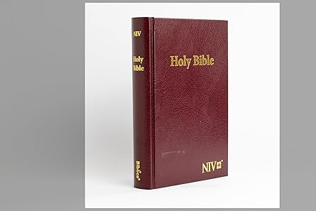 NIV Compact PVC Hardcover Brown Bible