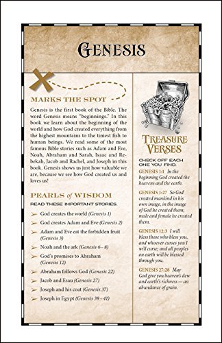 NIV, God's Treasure Holy Bible, Leathersoft, Amethyst: Golden promises and priceless stories - Image 5