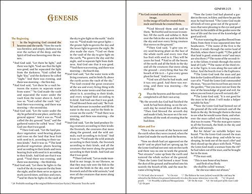 NIV, God's Treasure Holy Bible, Leathersoft, Amethyst: Golden promises and priceless stories - Image 3