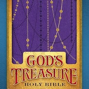 NIV, God's Treasure Holy Bible, Leathersoft, Amethyst: Golden promises and priceless stories