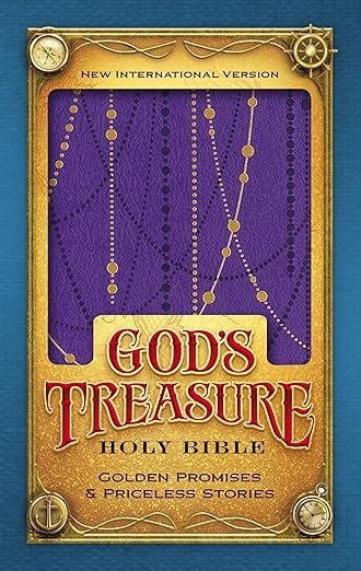 NIV, God's Treasure Holy Bible, Leathersoft, Amethyst: Golden promises and priceless stories
