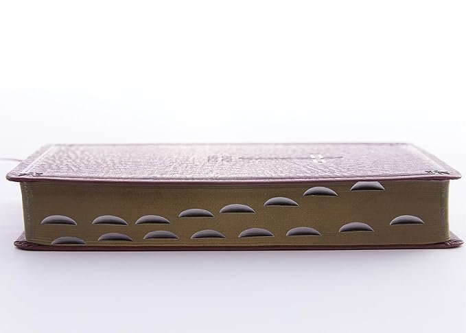 KJV Holy Bible: Personal Size Giant Print with 43,000 Cross References, Burgundy Leathersoft, Red Letter, Comfort Print (Thumb Indexed): King James Version - Image 2