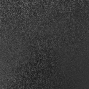 KJV Super Giant Print Reference Bible, Black Imitation Leather, Red Letter, Pure Cambridge Text, Presentation Page, Cross-References, Full-Color Maps, Easy-to-Read Bible MCM Type