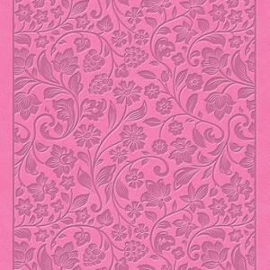 KJV Large Print Personal Size Reference Bible, Pink LeatherTouch, Red Letter, Pure Cambridge Text, Presentation Page, Cross-References, Full-Color Maps, Easy-to-Read Bible MCM Type