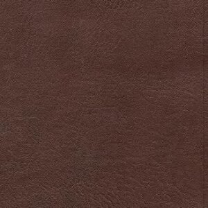 KJV Single-Column Personal Size Bible, Brown LeatherTouch, Red Letter, Pure Cambridge Text, Presentation Page, Full-Color Maps, Easy-to-Read Bible MCM Type