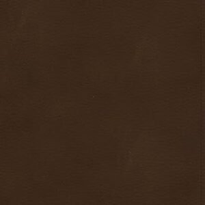 KJV Ultrathin Bible, Brown LeatherTouch