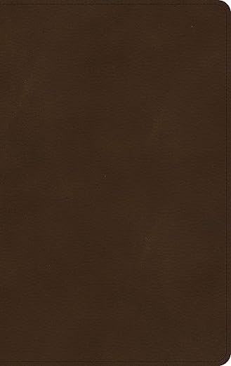 KJV Ultrathin Bible, Brown LeatherTouch