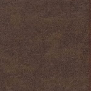 KJV Single-Column Compact Bible, Brown LeatherTouch, Red Letter, Pure Cambridge Text, Presentation Page, Full-Color Maps, Easy-to-Read Bible MCM Type
