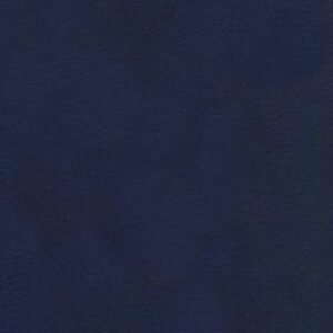 KJV Single-Column Compact Bible, Navy LeatherTouch, Red Letter, Pure Cambridge Text, Presentation Page, Full-Color Maps, Easy-to-Read Bible MCM Type