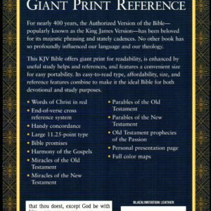 HolyBiblePersonalSizeGiantPrint_0001BlackImitationLeather_2