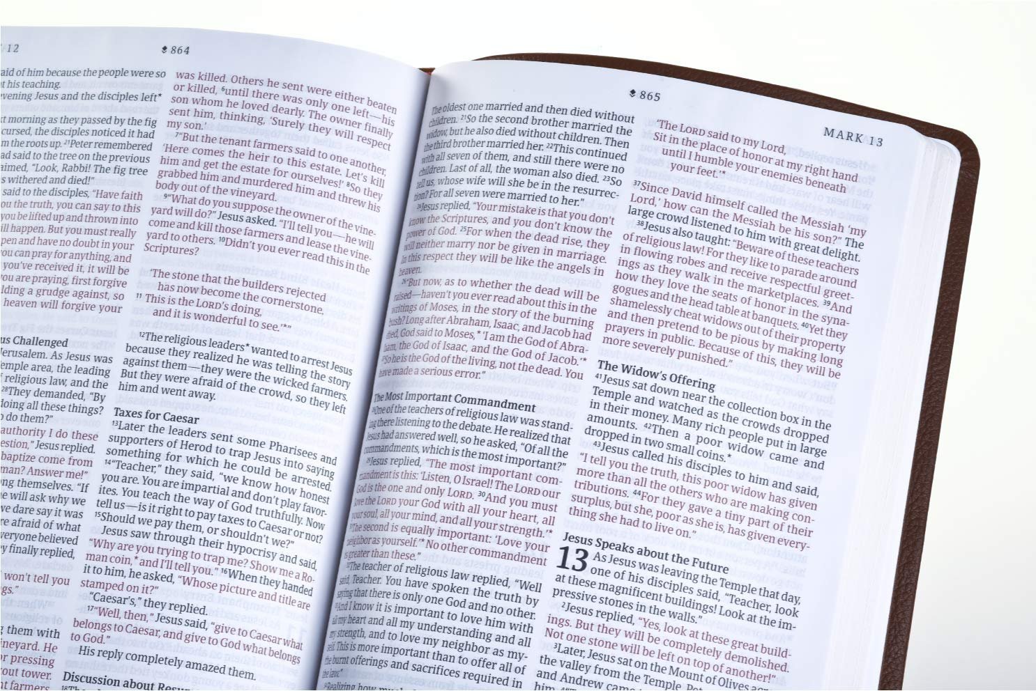 NLT Thinline Reference Bible, Filament Enabled (LeatherLike, Rustic Brown): Includes Free Access to the Filament Bible App Delivering Study Notes, Devotionals, Worship Music, and Video - Image 6