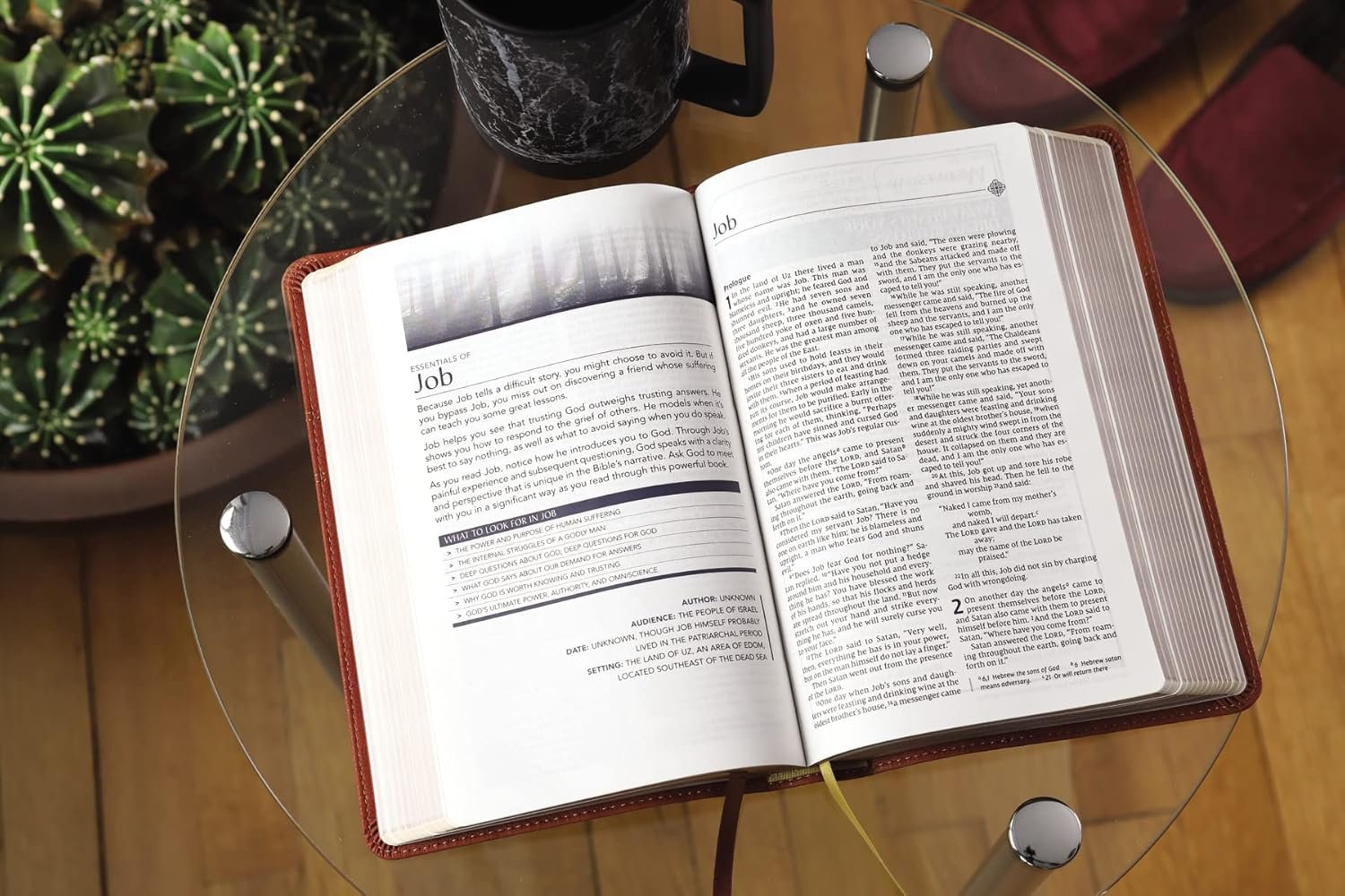 NIV, Men's Devotional Bible (By Men, for Men), Leathersoft, Brown, Comfort Print - Image 4