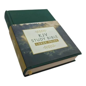 KJVSTUDYBIBLELARGEPRINT_2