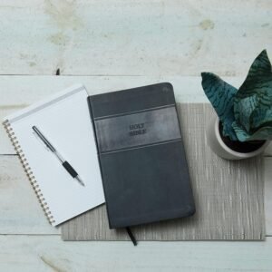 91HnFu7I43L._SL1500_