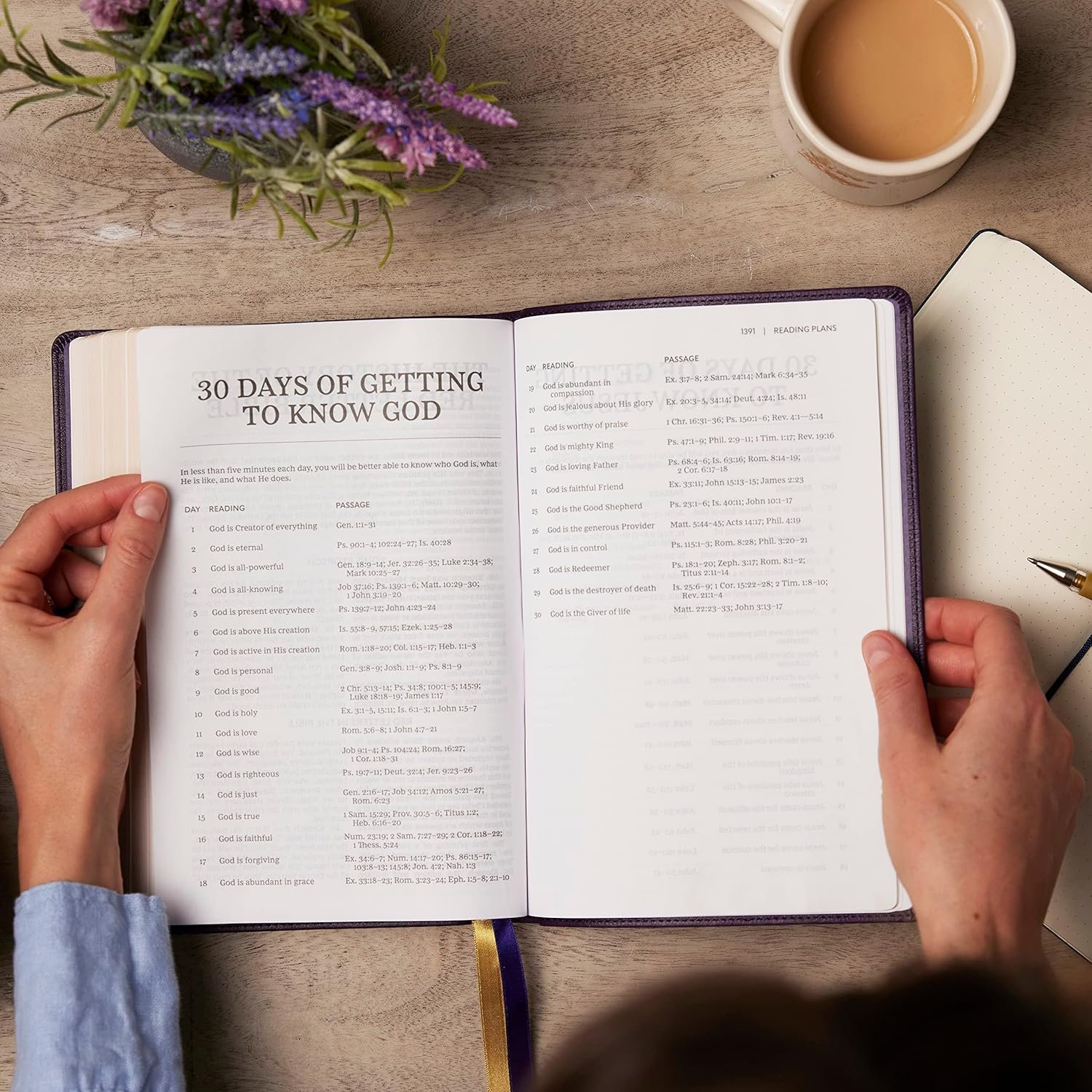 KJV Holy Bible with Cross References, Purple Leather soft, Red Letter, Comfort Print: King James Version - Image 6