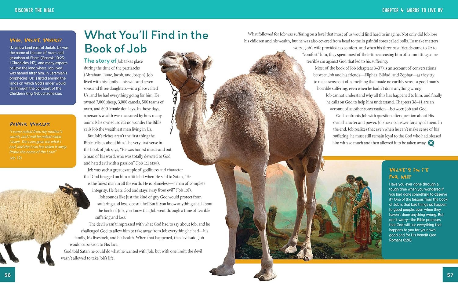 Discover the Bible: An Illustrated Adventure for Kids - Image 3