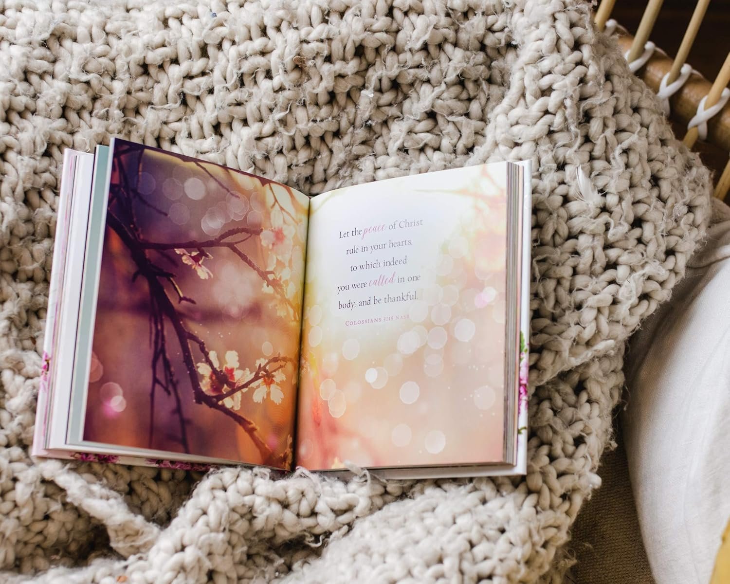 Jesus Calling for Easter - Image 5
