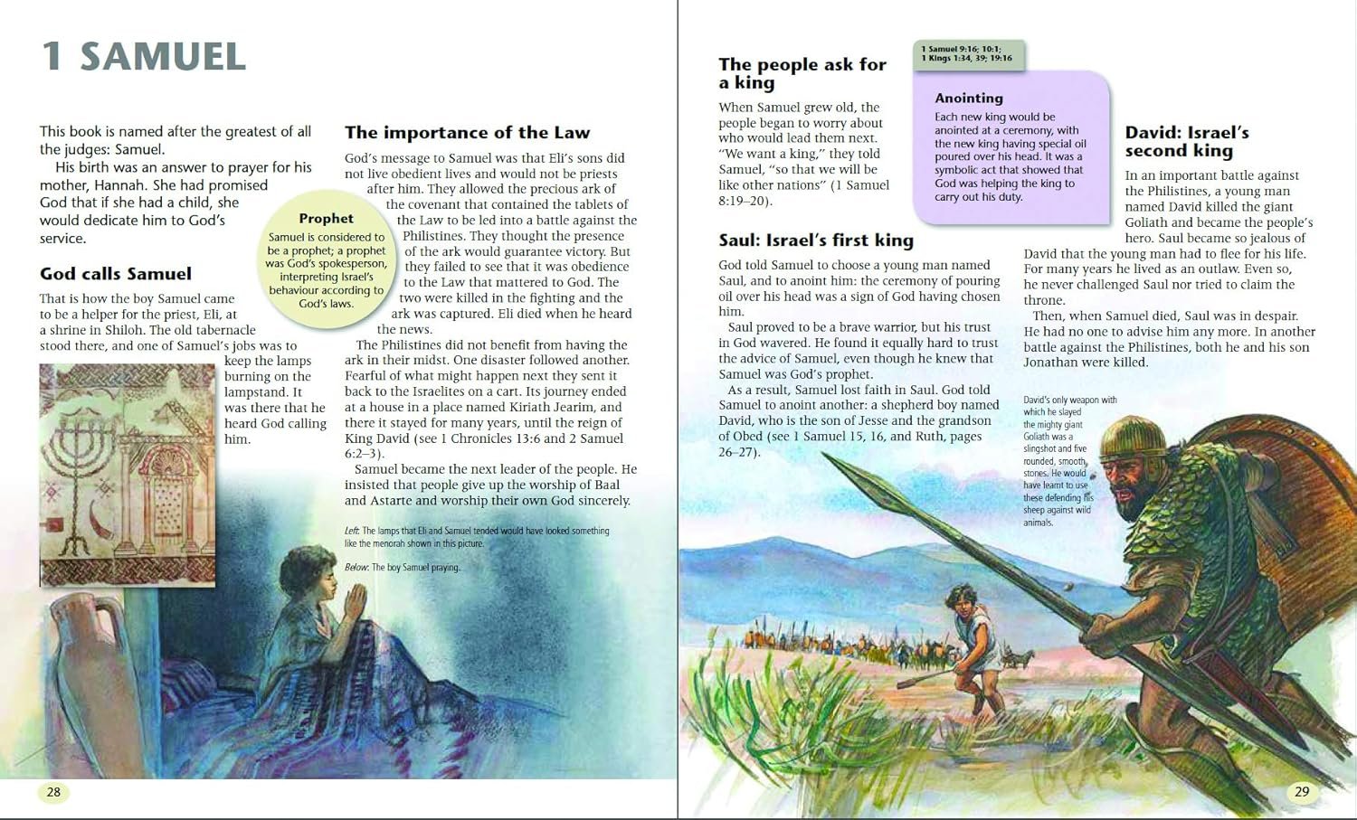 Explore the Bible Book by Book - Image 3
