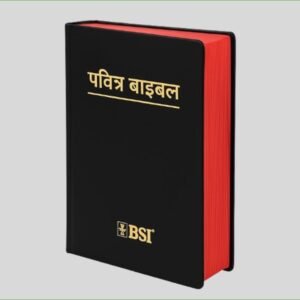 Hindi Holy Bible (हिंदी पवित्र बाइबल) – Flexibound-Red Side Edges | 1495 Pages | Old & New Testament in Hindi Language | Standard Size Bible